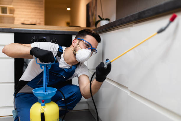 Best Pest Control Treatment  in Manton, MI