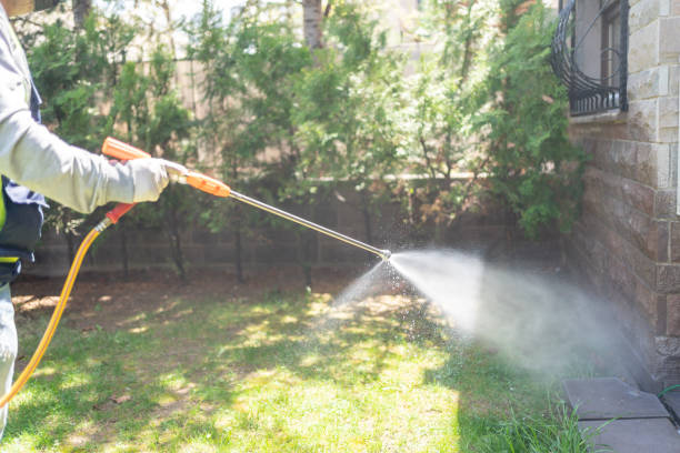 Best Pest Removal Services  in Manton, MI