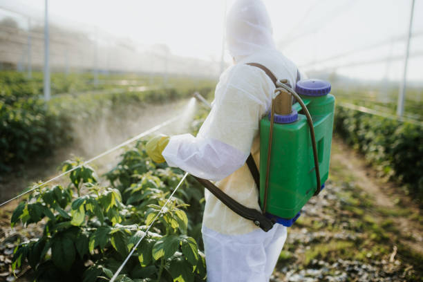 Best Local Pest Control Services  in Manton, MI
